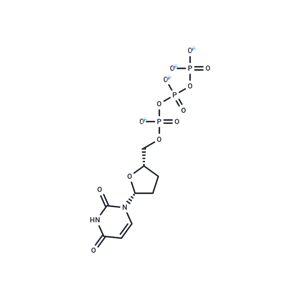 化合物 ddUTP|T79579|TargetMol