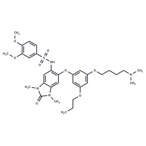 化合物 IACS-9571|T11597|TargetMol