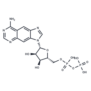 化合物 Linear-benzoadenosine diphosphate|T32764|TargetMol