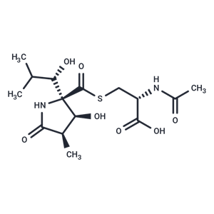 蛋白酶體抑制劑,Lactacystin