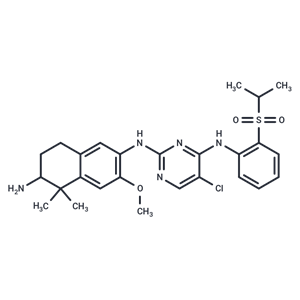 化合物 KRCA-0713|T27741|TargetMol