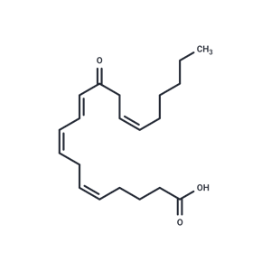 12-OxoETE|T37972|TargetMol