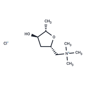 化合物 Muscarine chloride|T24508|TargetMol