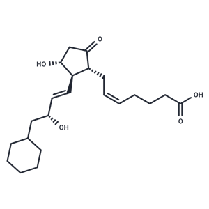 8-iso-16-cyclohexyl-tetranor Prostaglandin E2|T36168|TargetMol