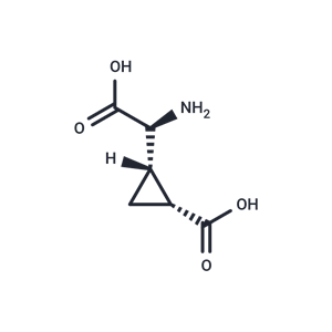 化合物 L-CCG-lll|T22913|TargetMol