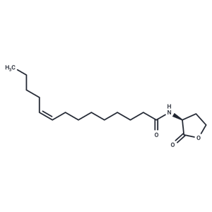 N-cis-tetradec-9Z-enoyl-L-Homoserine lactone|T37738|TargetMol