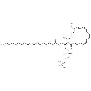 1-Stearoyl-2-15(S)-HpETE-sn-glycero-3-PC|T37486|TargetMol