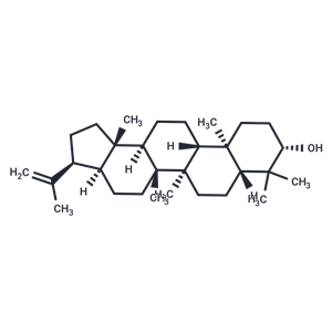 化合物 3β-Hydroxy-hop-22(29)-ene,3β-Hydroxy-hop-22(29)-ene