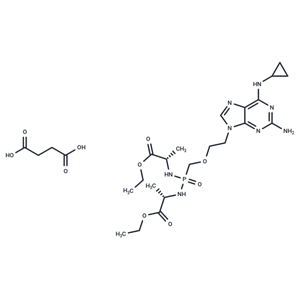 化合物 Rabacfosadine succinate|T24702|TargetMol