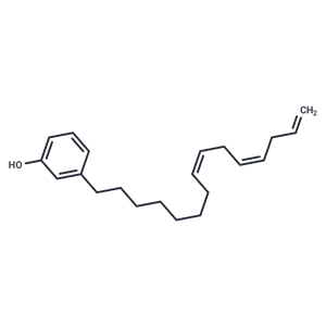 Cardanol triene|T37555|TargetMol