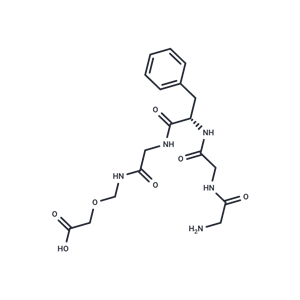 化合物 Gly-Gly-Phe-Gly-NH-CH2-O-CH2COOH|T77896|TargetMol