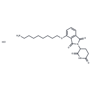 Thalidomide-O-C8-NH2 hydrochloride|T40261|TargetMol