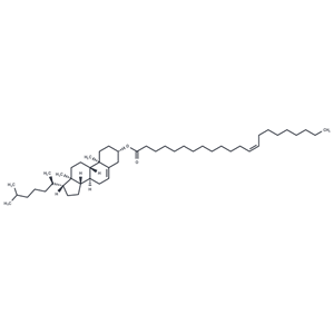 Cholesteryl Erucate|T38057|TargetMol