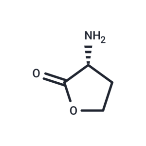 D-Homoserine lactone|T36396|TargetMol