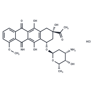 化合物 5-Iminodaunorubicin hydrochloride|T72115|TargetMol