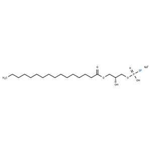 1-Palmitoyl Lysophosphatidic Acid (sodium salt)|T37283|TargetMol