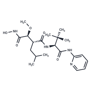 化合物 Solimastat|T69716|TargetMol