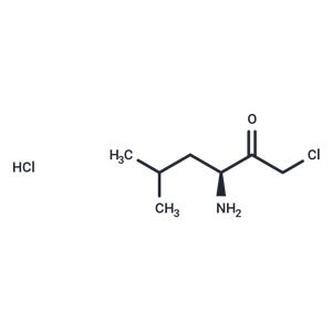 化合物 (S)-3-Amino-1-chloro-5-methylhexan-2-one hydrochloride|T65276|TargetMol