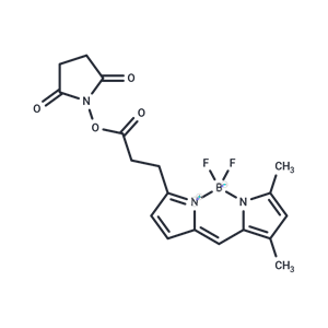 化合物 BODIPY-FL NHS ester|T78383|TargetMol