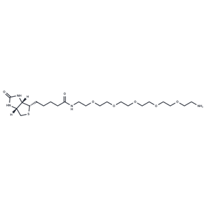 化合物 Biotin-PEG5-amine|T14603|TargetMol