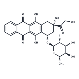 化合物 Annamycin|T68326|TargetMol