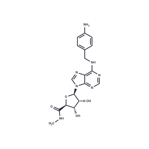 化合物 AB-MECA|T14082|TargetMol