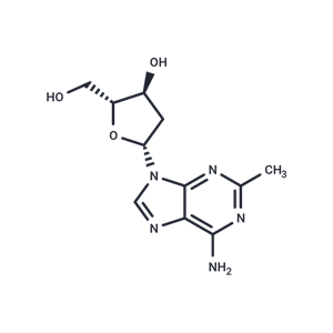 化合物 2-Methyl-2’-deoxyadenosine|TNU1271|TargetMol