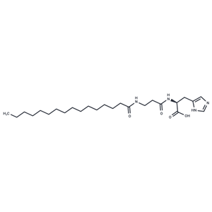 化合物 Palmitoyl carnosine|T25916|TargetMol