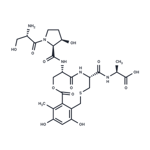 化合物 Cyclothialidine|T23924|TargetMol