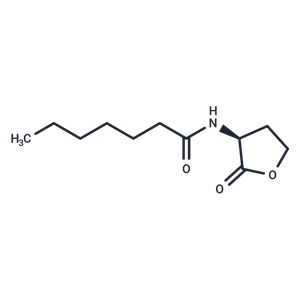 化合物 N-Heptanoyl-L-homoserine lactone|T41282|TargetMol