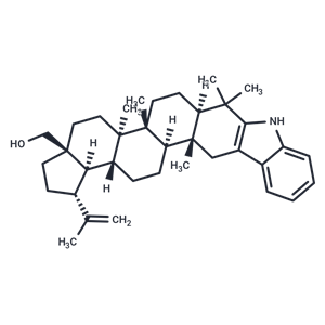 2,3-Indolobetulin|T37781|TargetMol