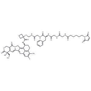 化合物 MC-Gly-Gly-Phe-Gly-Cyclobutanecarboxylic-Exatecan|T77858|TargetMol