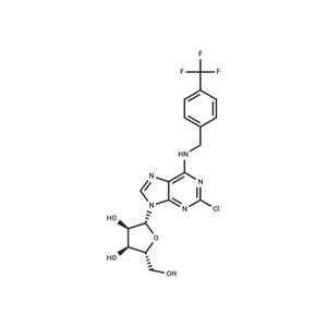 化合物 2’-Chloro-N6-(4-trifluoromethyl)benzyl ? adenosine|TNU0515|TargetMol