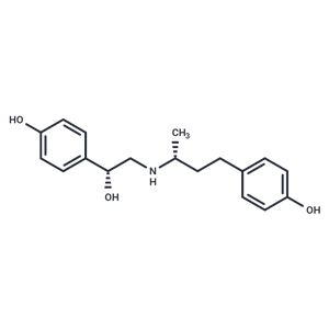 化合物 Butopamine|T30630|TargetMol