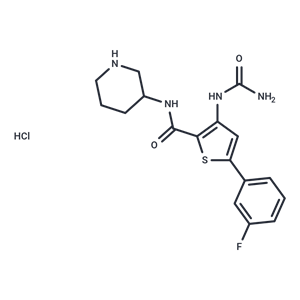 化合物 AZD7762 HCl|T6093L|TargetMol