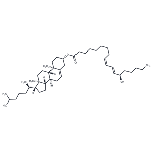 13(R)-HODE cholesteryl ester|T35846|TargetMol