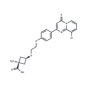 化合物 HBV-IN-14|T62355|TargetMol