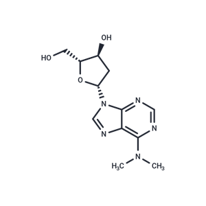 化合物 2’-Deoxy-N6,N6-dimethyladenosine|TNU1369|TargetMol