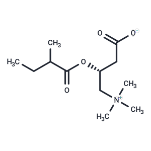 化合物 2-Methylbutyrylcarnitine|T73748|TargetMol