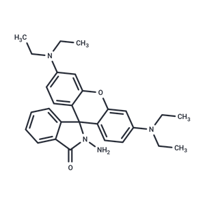 化合物 Rhodamine B hydrazide|T81276|TargetMol