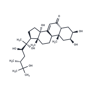 Makisterone A|T37471|TargetMol