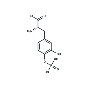 化合物 Foslevodopa|T68204|TargetMol