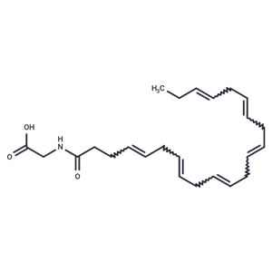 Docosahexaenoyl Glycine,Docosahexaenoyl Glycine