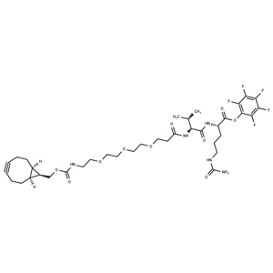 化合物 BCN-PEG3-VC-PFP ester|T17532|TargetMol