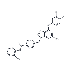 化合物 HDAC-IN-45|T63422|TargetMol