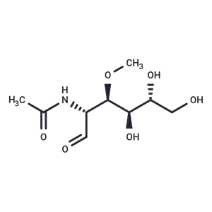 化合物 NAGKi|T20949|TargetMol