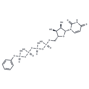 化合物 MRS 2768 tetrasodium salt|T23026|TargetMol