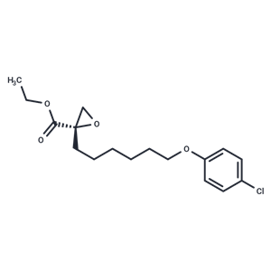 化合物 S-(-)-Etomoxir|T68618|TargetMol