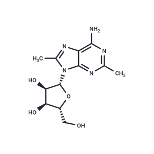 化合物 2,8-Dimethyladenosine|TNU0167|TargetMol