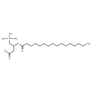 棕櫚酰肉堿|T15698|TargetMol